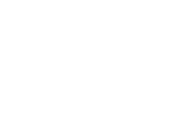 SSIP, Safety Schemes in Procurement